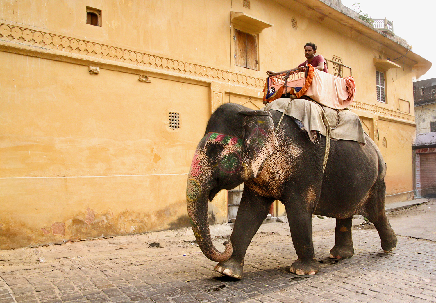 Jodhpur, Rajasthan