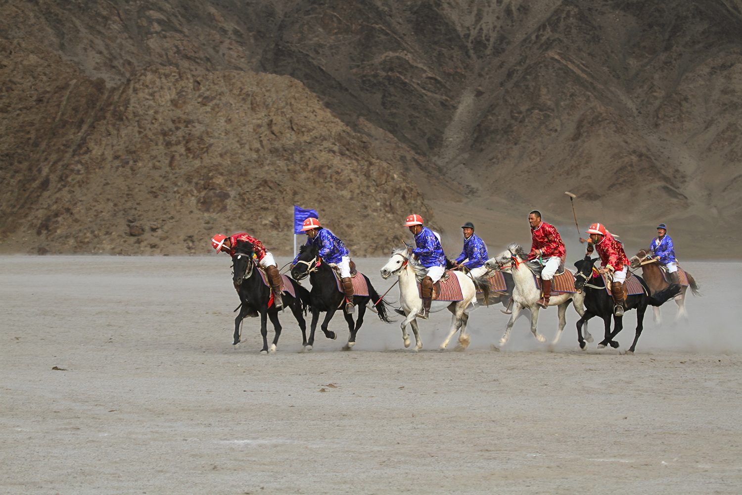 Polo Country — Ladakh