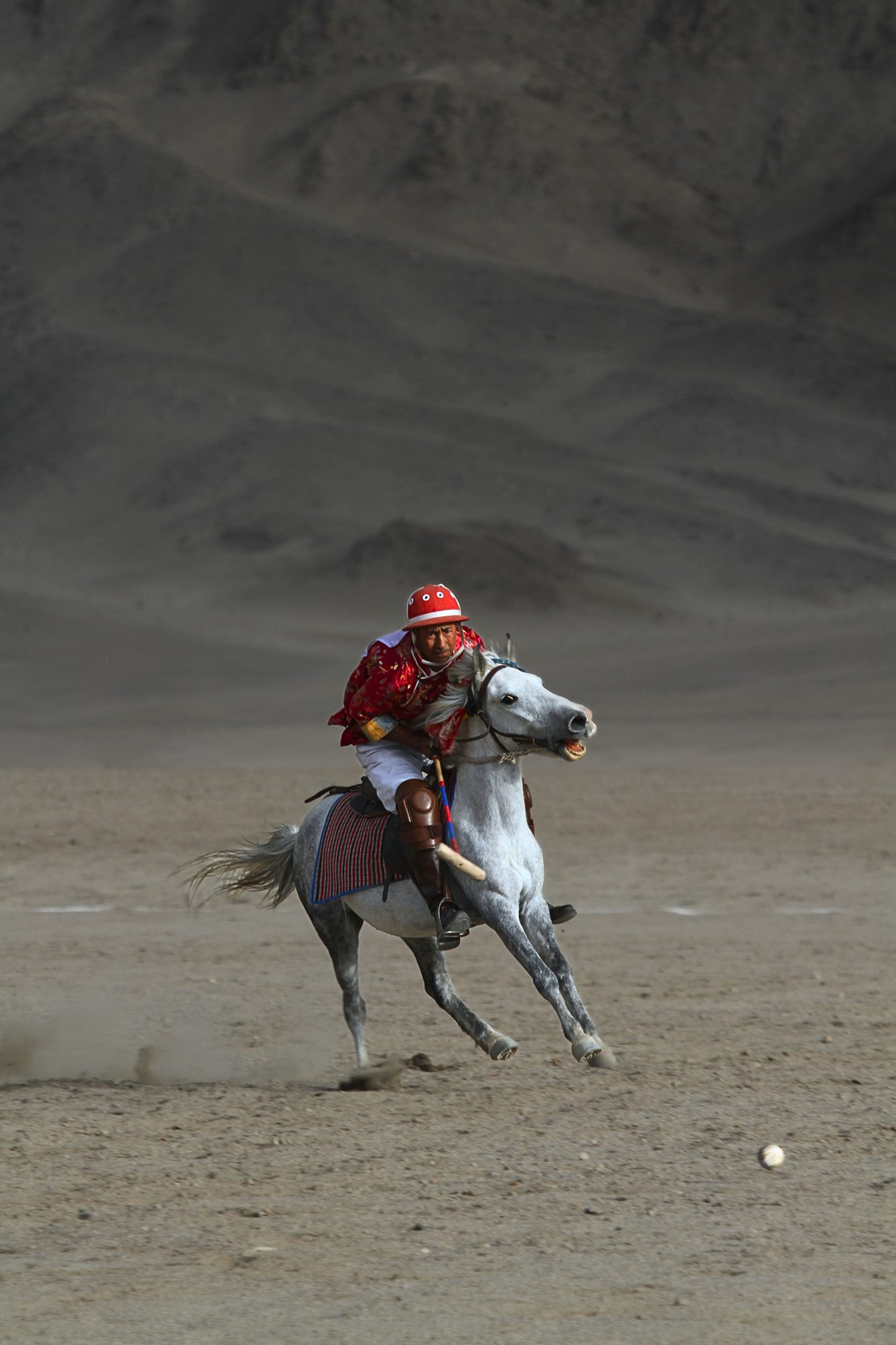 Mallets & Manes — Ladakh