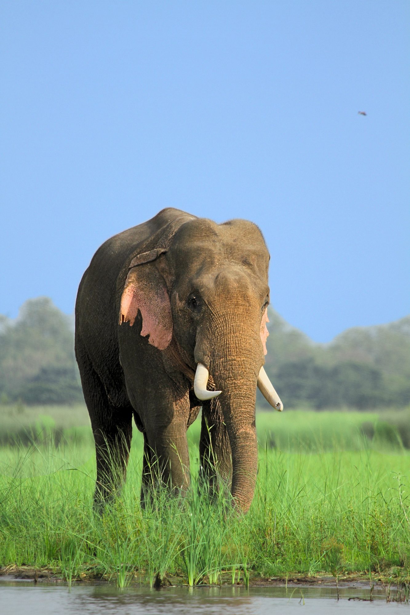 Uttar Pradesh, Unframed — Uttar Pradesh